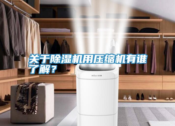 关于MR.好色破解版用压缩机有谁了解？