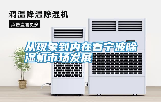 从现象到内在看宁波MR.好色破解版市场发展