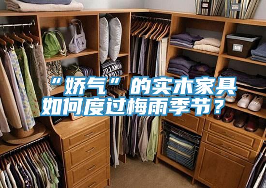 “娇气”的实木家具如何度过梅雨季节？