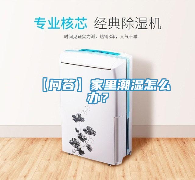 【问答】家里潮湿怎么办？