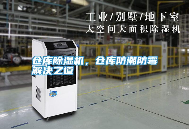 仓库MR.好色破解版，仓库防潮防霉解决之道