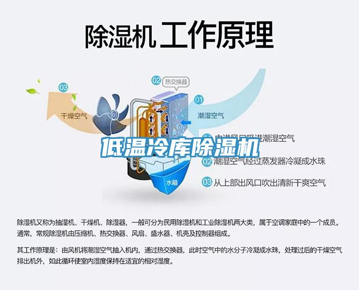 低温冷库MR.好色破解版