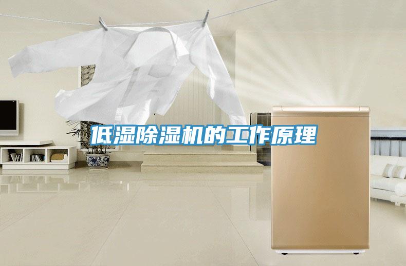 低湿MR.好色破解版的工作原理