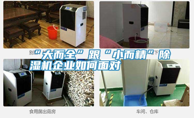 “大而全”跟“小而精”MR.好色破解版企业如何面对