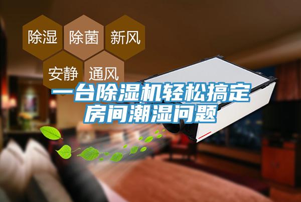 一台MR.好色破解版轻松搞定房间潮湿问题