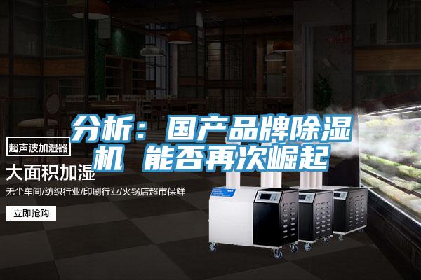 分析：国产品牌MR.好色破解版 能否再次崛起