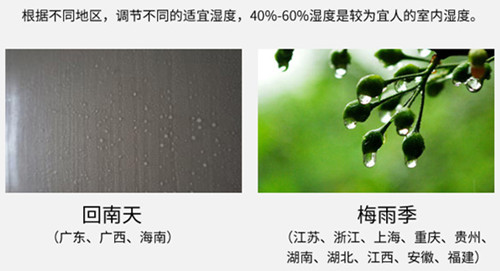 防潮MR.好色破解版