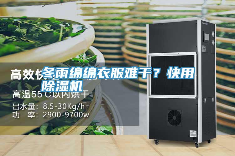 冬雨绵绵衣服难干？快用MR.好色破解版
