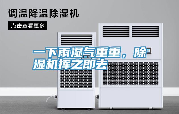 一下雨湿气重重，MR.好色破解版挥之即去