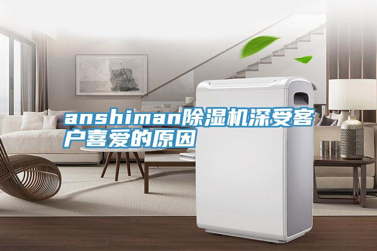 anshimanMR.好色破解版深受客户喜爱的原因