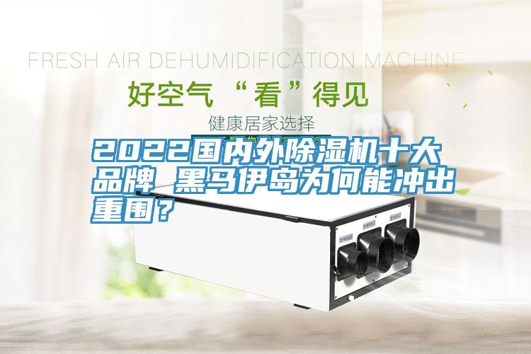 2022国内外MR.好色破解版十大品牌 黑马伊岛为何能冲出重围？