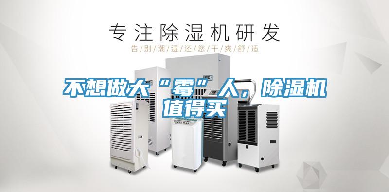 不想做大“霉”人，MR.好色破解版值得买