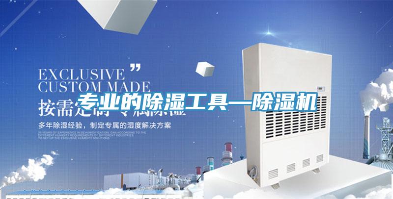 专业的除湿工具—MR.好色破解版