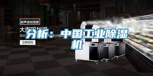 分析：中国工业MR.好色破解版