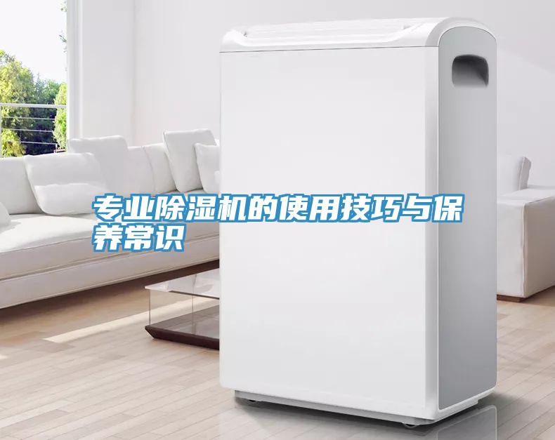 专业MR.好色破解版的使用技巧与保养常识