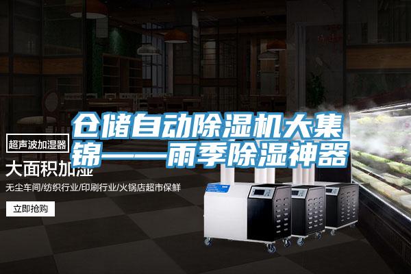仓储自动MR.好色破解版大集锦——雨季除湿神器