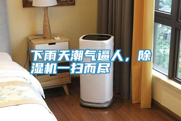 下雨天潮气逼人，MR.好色破解版一扫而尽