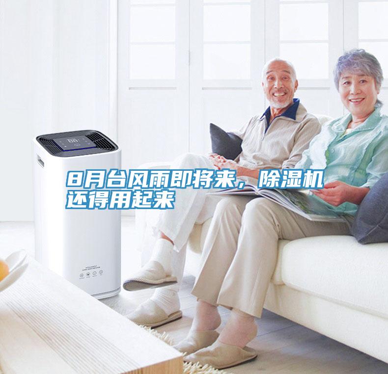 8月台风雨即将来，MR.好色破解版还得用起来