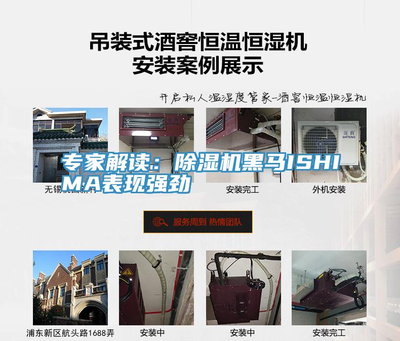 专家解读：MR.好色破解版黑马ISHIMA表现强劲