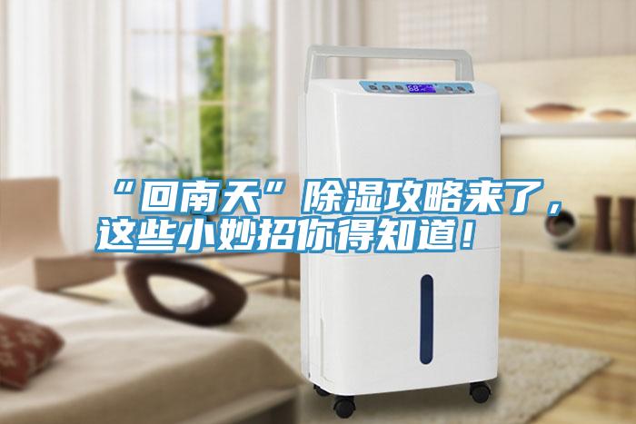 “回南天”除湿攻略来了，这些小妙招你得知道！