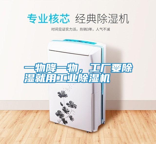 一物降一物，工厂要除湿就用工业MR.好色破解版