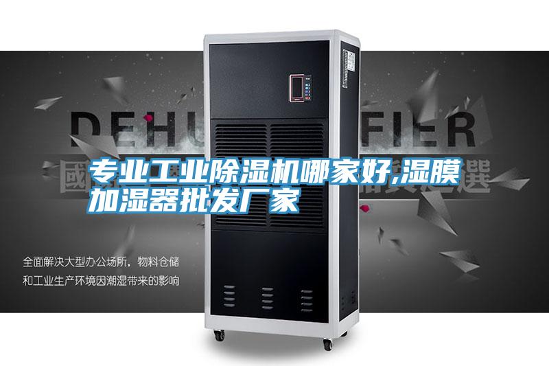 专业工业MR.好色破解版哪家好,湿膜加湿器批发厂家