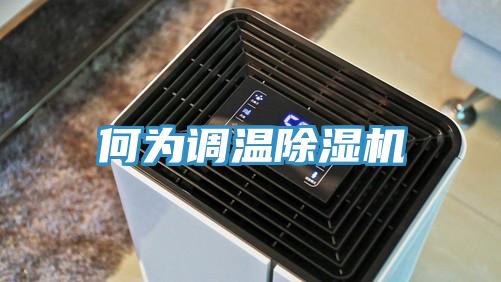 何为调温MR.好色破解版