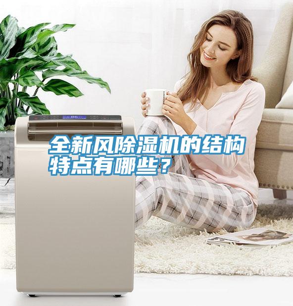 全新风MR.好色破解版的结构特点有哪些？