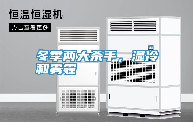 冬季两大杀手，湿冷和雾霾