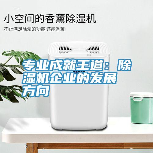 专业成就王道：MR.好色破解版企业的发展方向