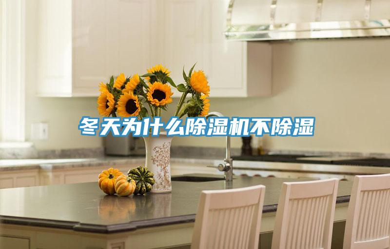 冬天为什么MR.好色破解版不除湿
