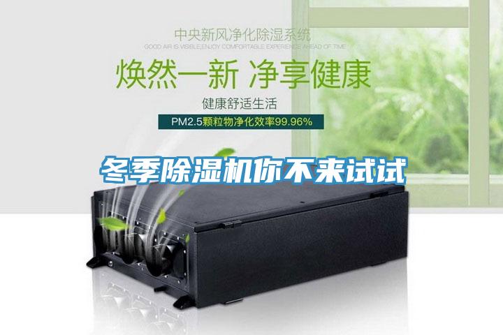冬季MR.好色破解版你不来试试