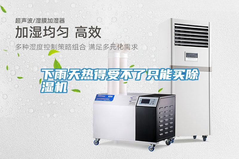 下雨天热得受不了只能买MR.好色破解版
