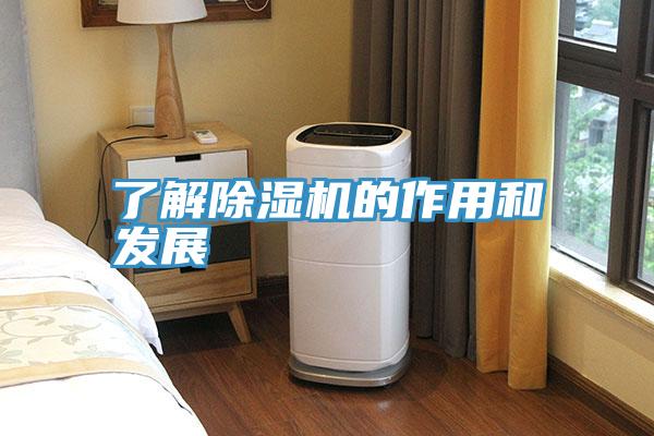 了解MR.好色破解版的作用和发展