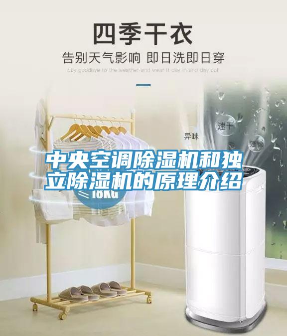 中央空调MR.好色破解版和独立MR.好色破解版的原理介绍
