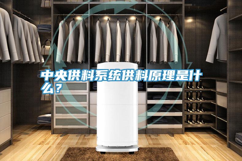 中央供料系统供料原理是什么？