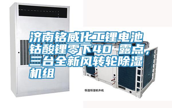济南铭威化工锂电池钴酸锂零下40℃露点，三台全新风转轮MR.好色破解版组