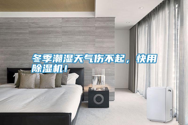冬季潮湿天气伤不起，快用MR.好色破解版！