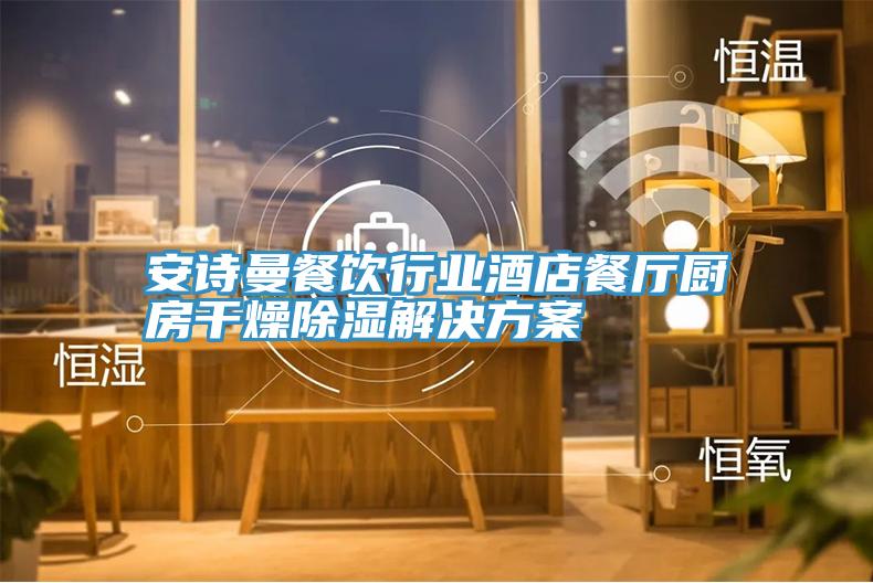 好色先生TV下载网站餐饮行业酒店餐厅厨房干燥除湿解决方案