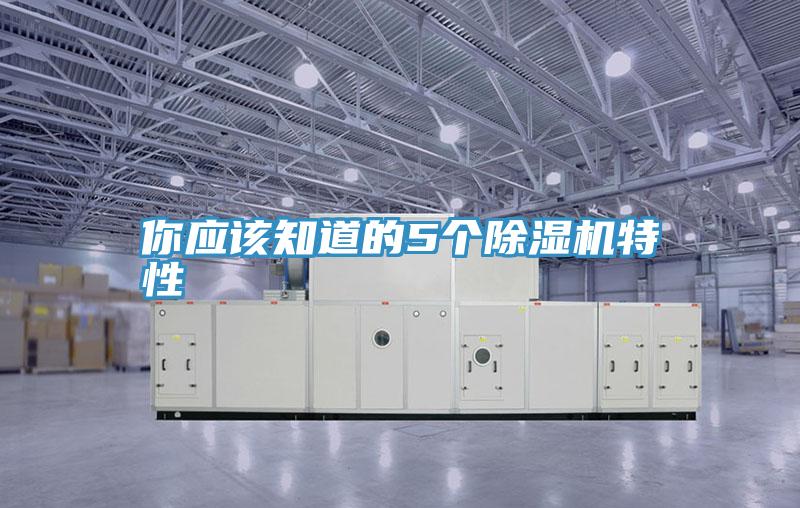 你应该知道的5个MR.好色破解版特性