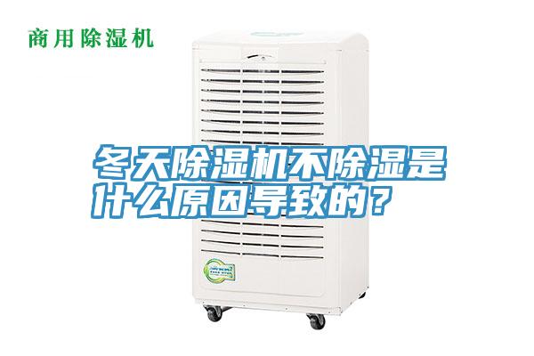 冬天MR.好色破解版不除湿是什么原因导致的？