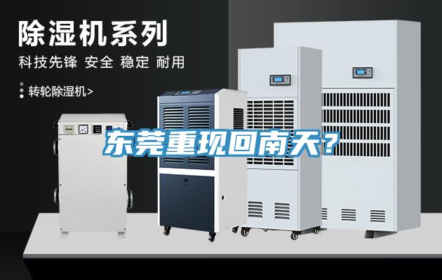 东莞重现回南天？