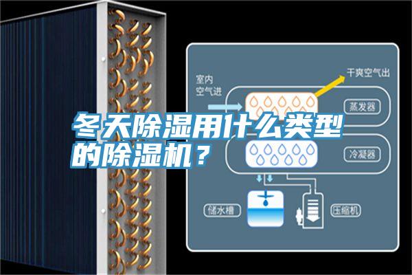 冬天除湿用什么类型的MR.好色破解版？