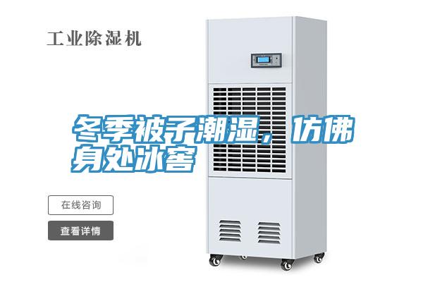 冬季被子潮湿，仿佛身处冰窖