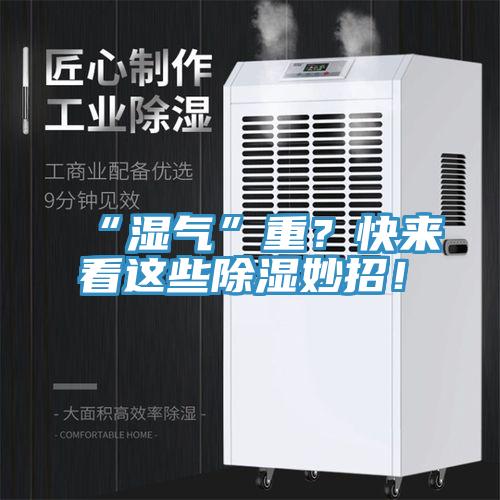 “湿气”重？快来看这些除湿妙招！