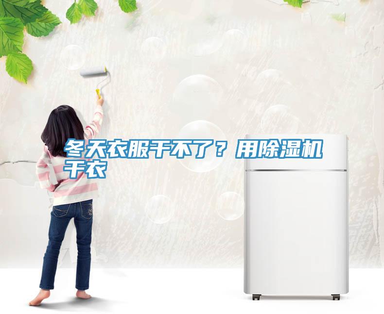 冬天衣服干不了？用MR.好色破解版干衣