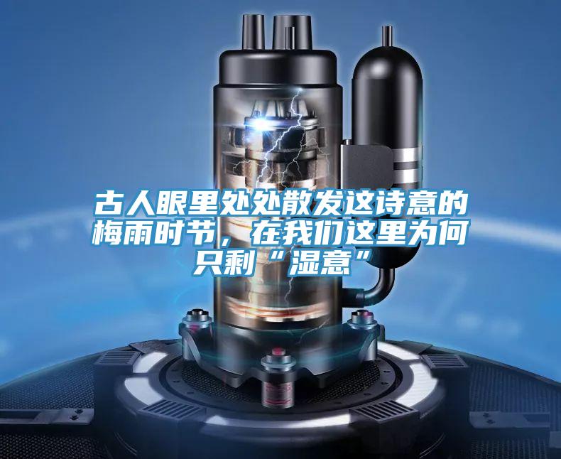 古人眼里处处散发这诗意的梅雨时节，在好色先生TV下载网站这里为何只剩“湿意”