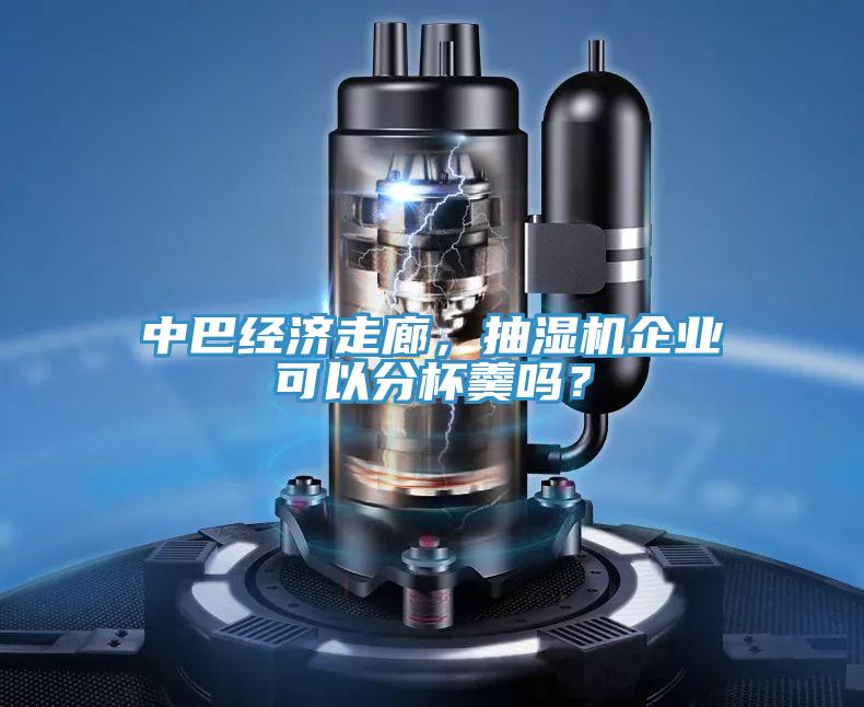 中巴经济走廊，抽湿机企业可以分杯羹吗？