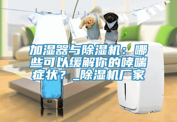 加湿器与MR.好色破解版：哪些可以缓解你的哮喘症状？_MR.好色破解版厂家