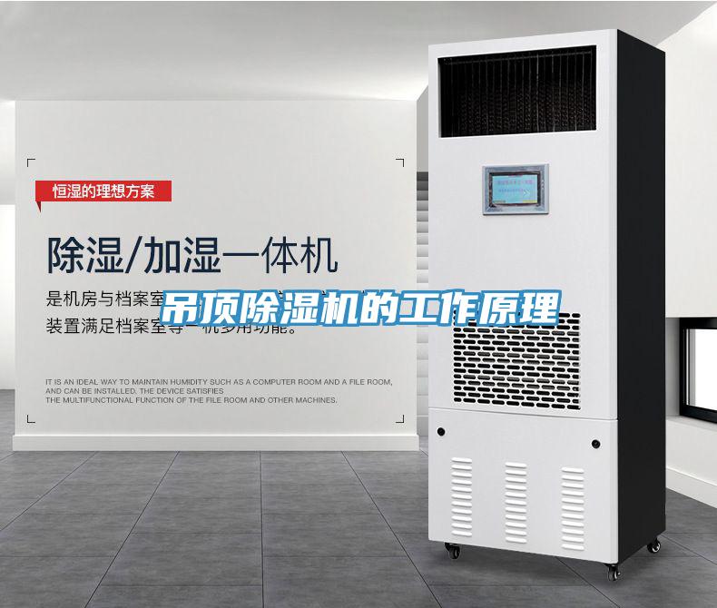 吊顶MR.好色破解版的工作原理